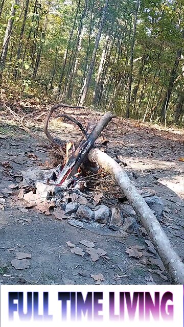 Full Time Living - day 2 Hoosier National Forest Indiana dispersed camping