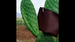 Desserto: piel de nopal mexicana que conquista el mundo