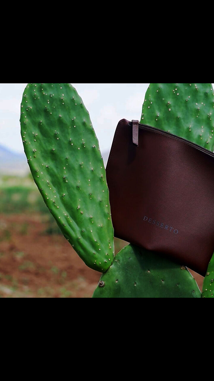 Desserto: piel de nopal mexicana que conquista el mundo