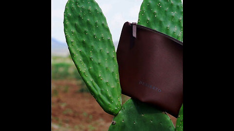 Desserto: piel de nopal mexicana que conquista el mundo