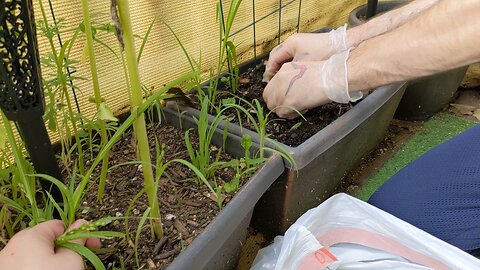 Weeding & Sowing - Porch Paradise - S2.06