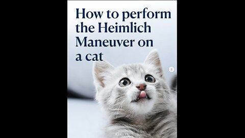 How to perform the heimlich manuver on a cat