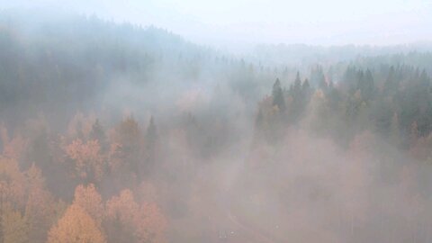 Aerial Footage of Foggy Area