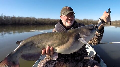 Channel catfish in our local lake