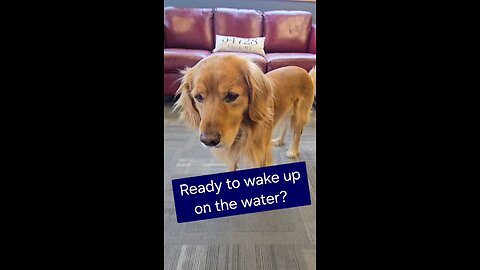 Ready to wake up on the water?