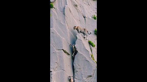 hunting