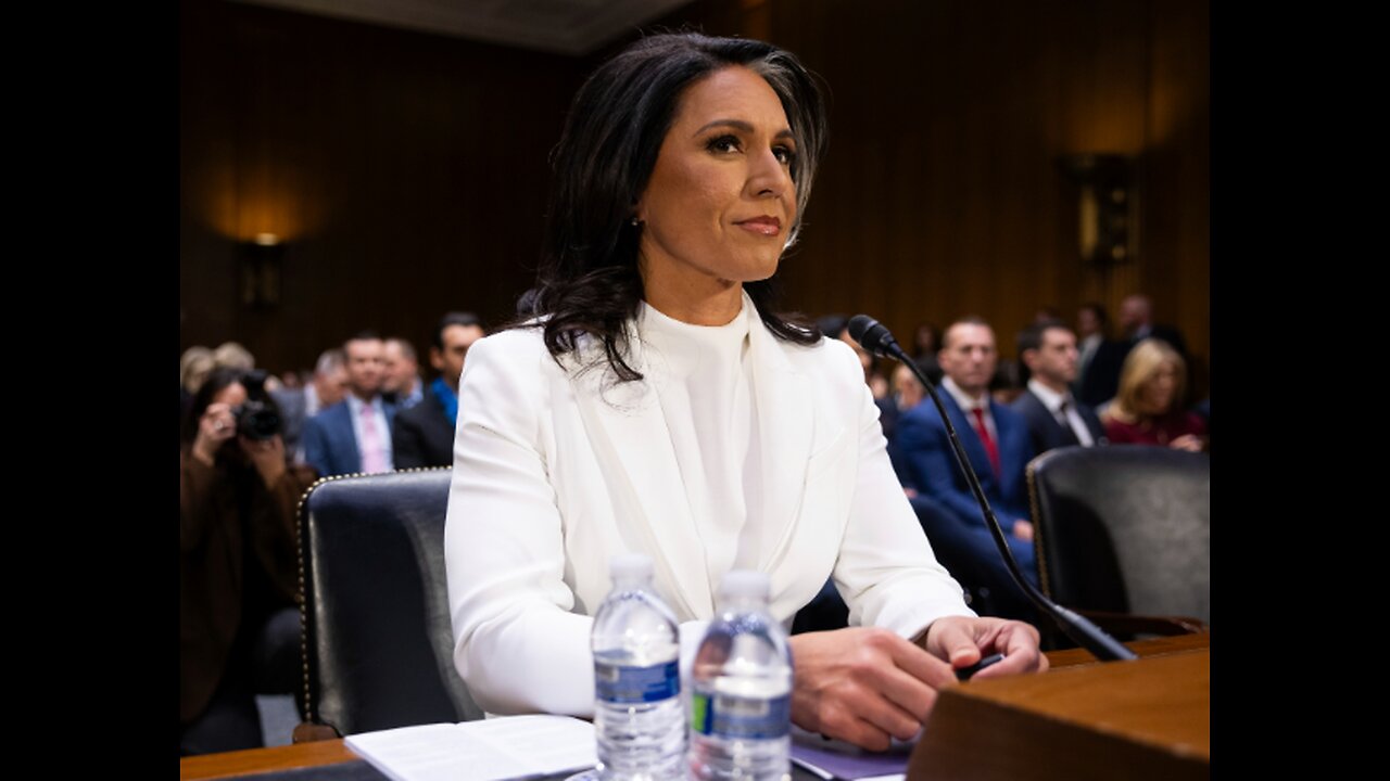 Tulsi Gabbard Says Fauci Lied to Congress About COVID Research