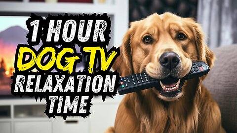 1 Hour Calming Piano Music for Dogs with Separation Anxiety & Stress