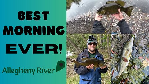 REDICULOUS SMALLMOUTH (& Walleye) Fishing on the Allegheny River! 2023