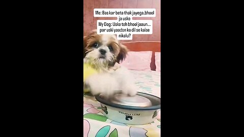 घर जला है मेरा