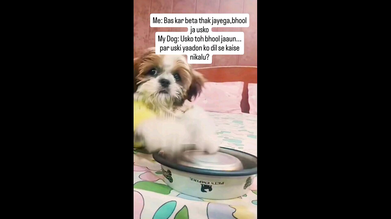 घर जला है मेरा