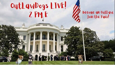 OutLawDogs LIVE! Ep. 55 Birds in the Doghouse & Trumps New WH Flags