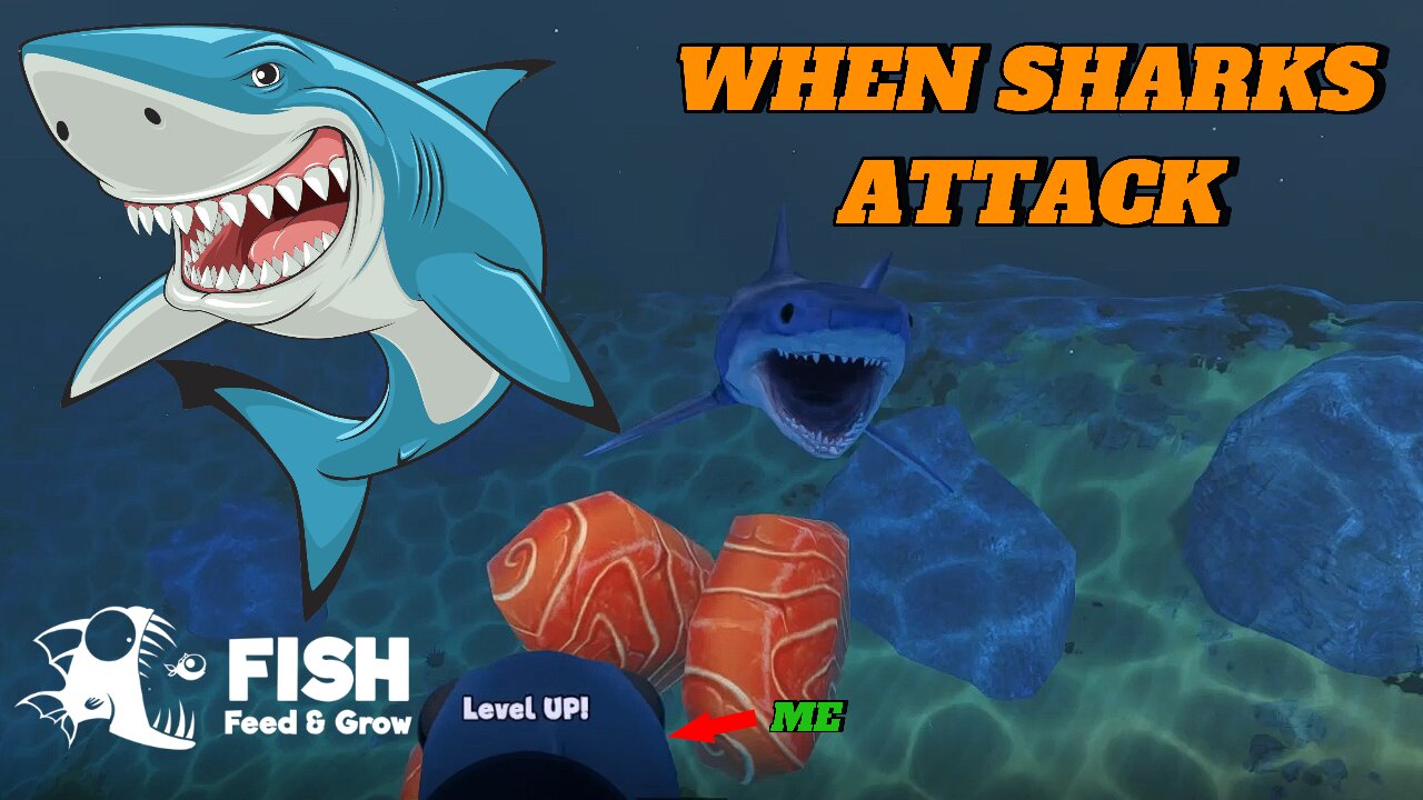 Why Shark Attack Gameplay is MORE REALISTIC than Ever