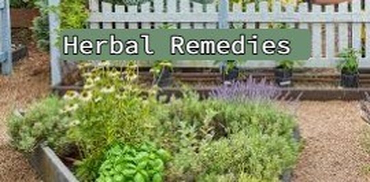 Herbal Remedies w/Trisha Jones