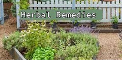 Herbal Remedies w/Trisha Jones