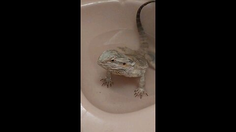 Bath Time