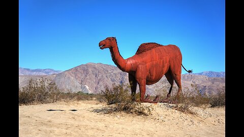 Anza Borrego, CA