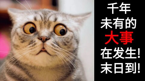 千年未有的大事在发生! 末日到!