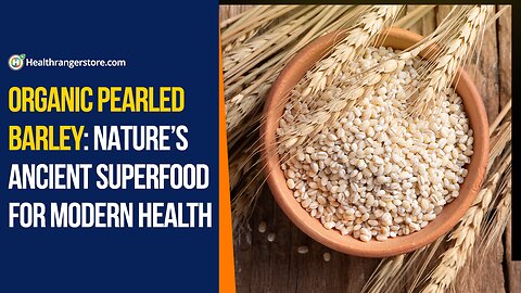 Organic Pearled Barley: Nature’s ancient superfood for modern health