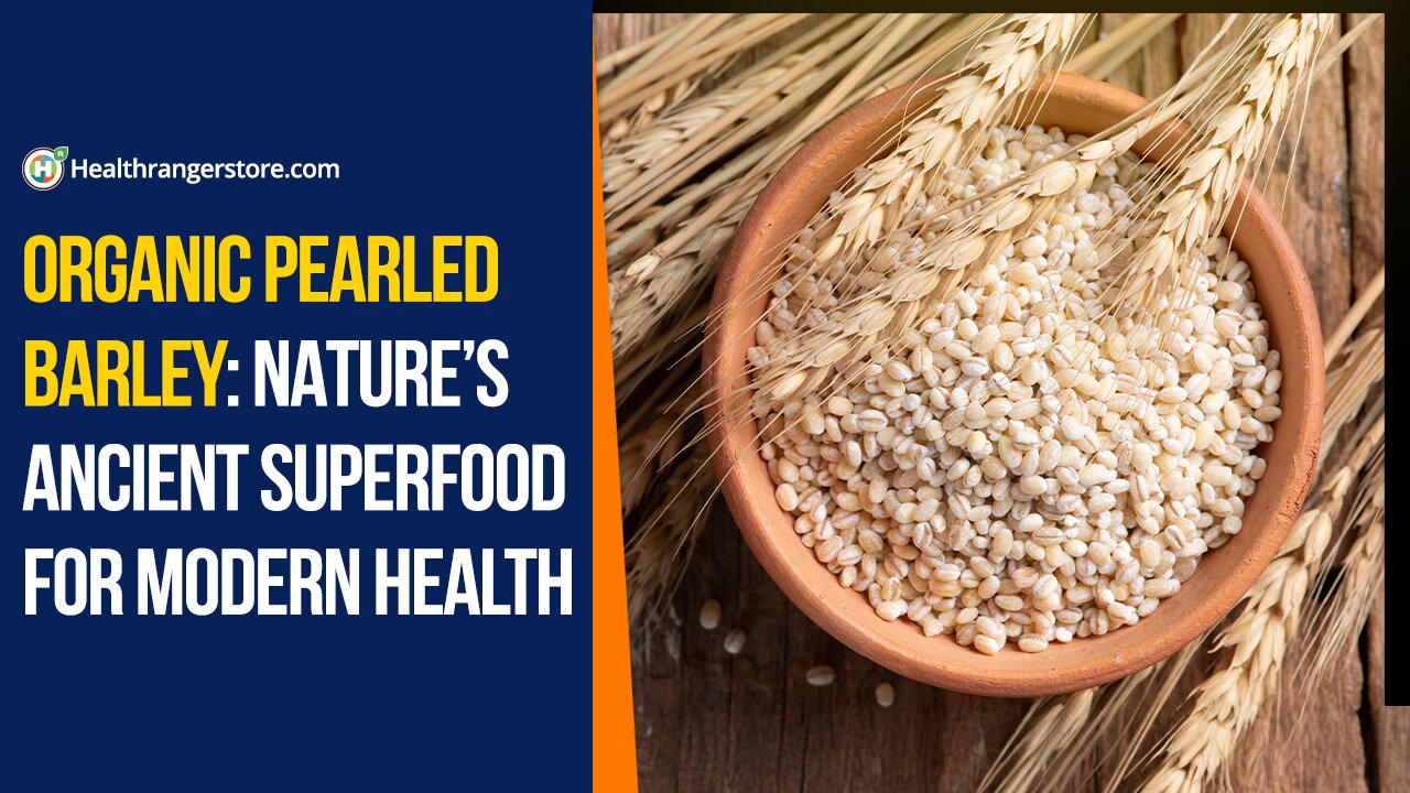 Organic Pearled Barley: Nature’s ancient superfood for modern health