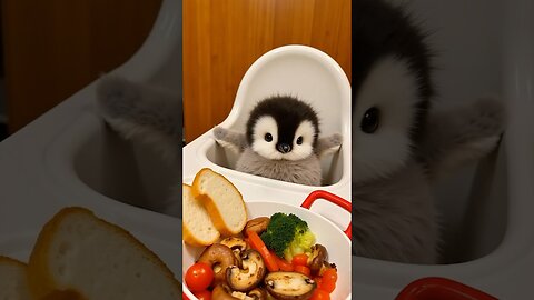 Your “cute dining buddy” service has arrived~#adorable