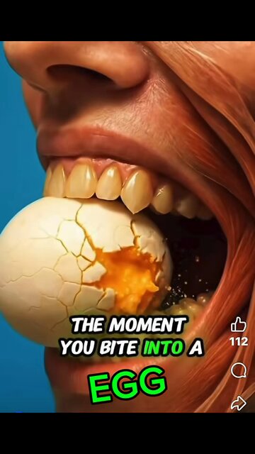 When You Eat an Egg