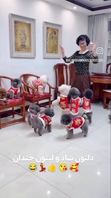 😋😍دلتون شاد لبتون خندون