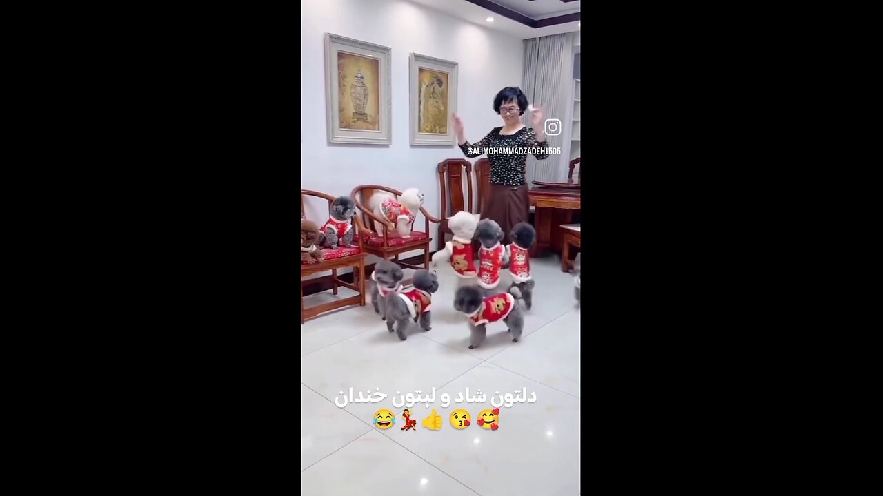 😋😍دلتون شاد لبتون خندون