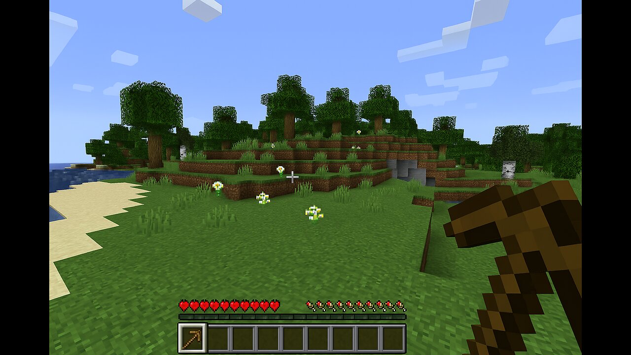 Minecraft