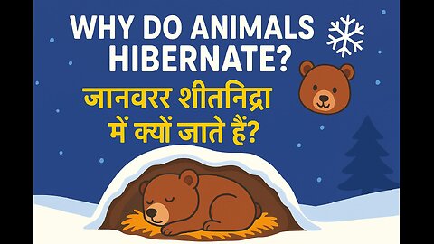 Why Do Some Animals Hibernate? – Winter Sleep Explained 🐻❄️