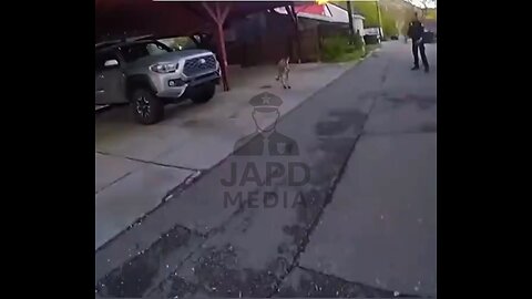 Police face off with kangaroo — the winner might surprise you 🦘🚓 #wildencounter #japd