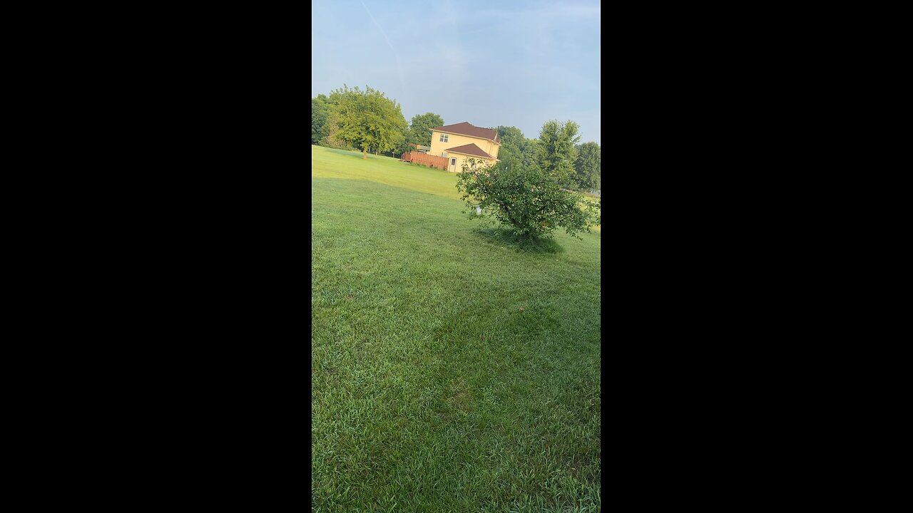 Chemtrails 8/4/25 two