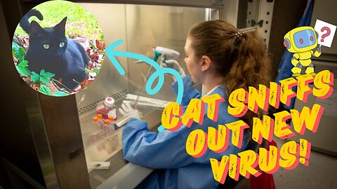 “Cat Scientist: How Pepper Has Helped Discover Two New Viruses!”