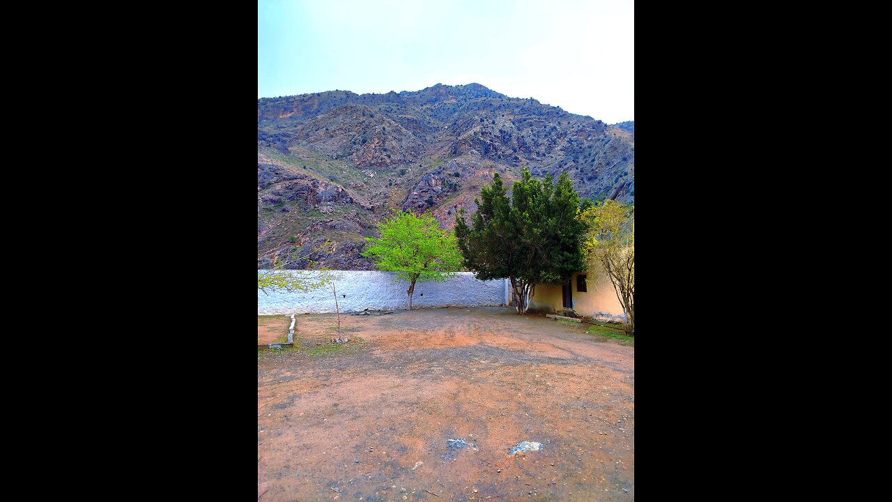 #nature #naturevibes #wildlife #animals