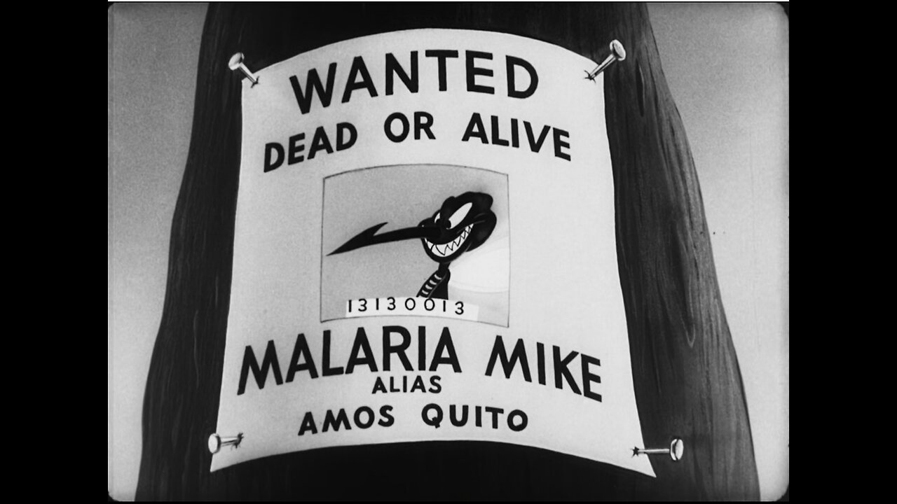 Private Snafu - 11 - Private Snafu vs. Malaria Mike (1944) 1080p