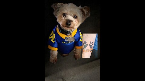 touch up on my tattoo that I got in memory of my dog Kash