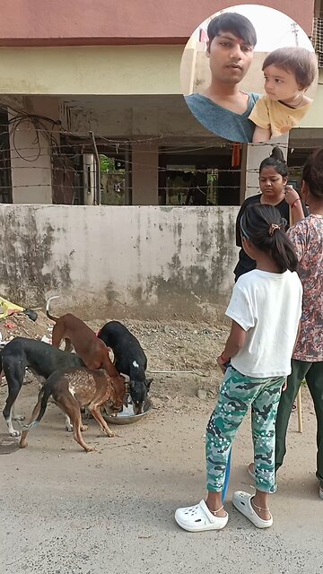 jivdaya mehsana 🥰