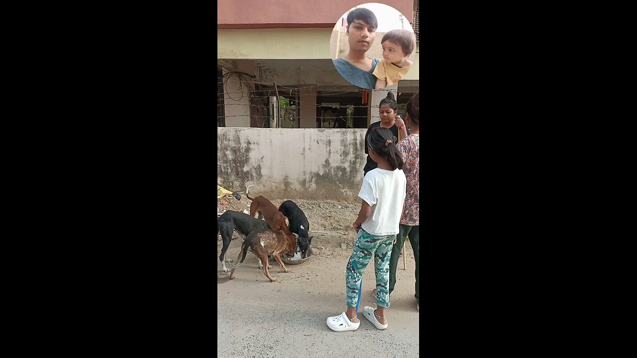 jivdaya mehsana 🥰