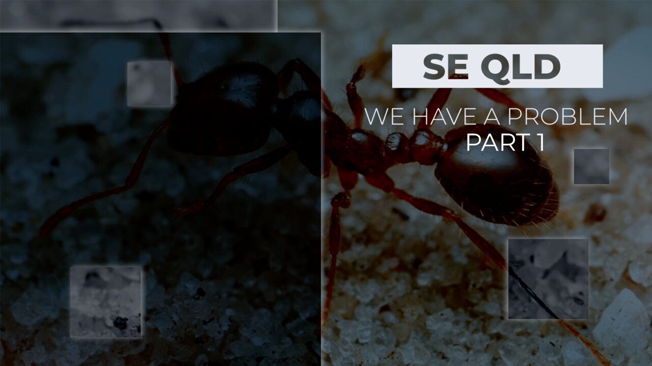 SE QUEENSLAND - WE HAVE A PROBLEM - PART 1