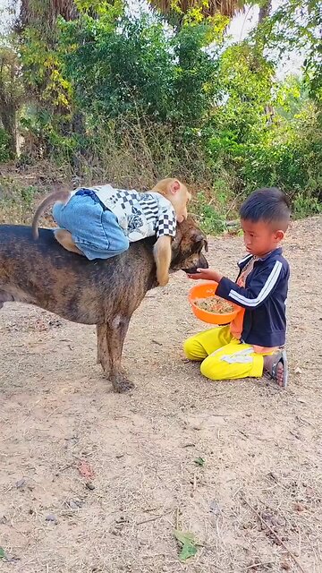 Lovely animal SokYaa, OG, Pao Mom Are Famous Around The World #shorts #anime #trend #edit