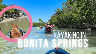 Kayaking in Bonita Springs | Big Hickory Island Family Adventure