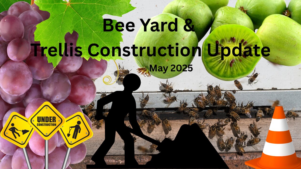 Bee/Kiwi/Grape Area Construction Update with a Special Appearance.