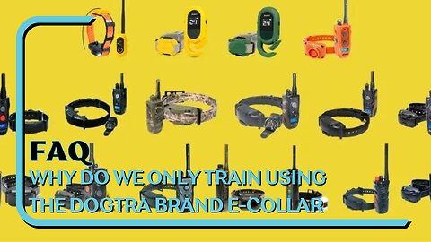 FAQ: Why Do We Only Train With Dogtra Brand E-Collars