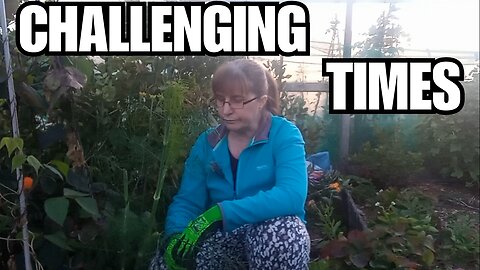 Updates: Allotment Tour, Life Update & A New Visitor!
