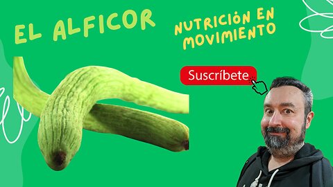 🌱 Alficor: La Hortaliza Española Que Todos Quieren Probar 😲