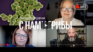 ⚡️⚡️⚡️ С нами грибы. Дрожжи. Антикандидозные протоколы. Вишневский, Внукова, Симонова