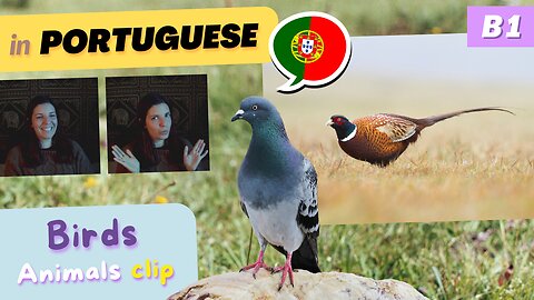 Birds in the Countryside (clip) | B1 European Portuguese with comprehensible input