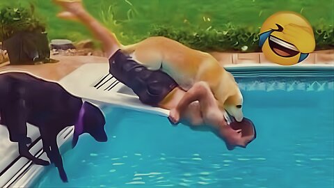 Funniest🐾Animal Videos Ever – Can You Watch Without Laughing?
