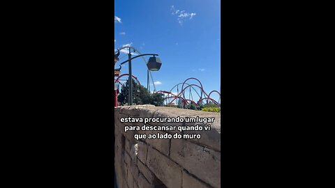 THE PARK