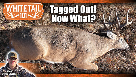 Tips on Having Your Deer Meat Processed